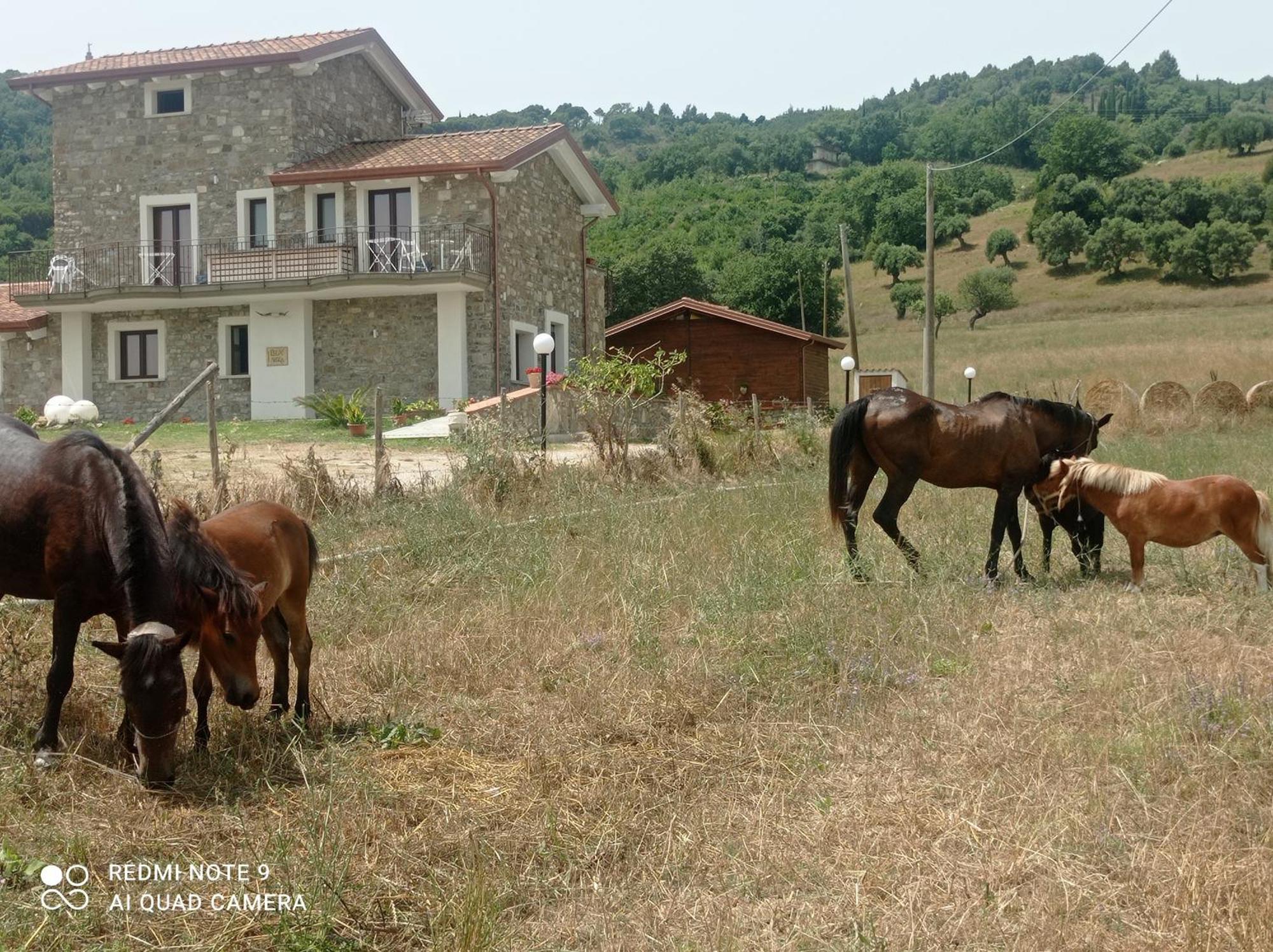 Lux Vera B & B Agropoli Esterno foto
